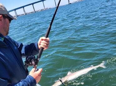 San Diego Bay Report Photo 2