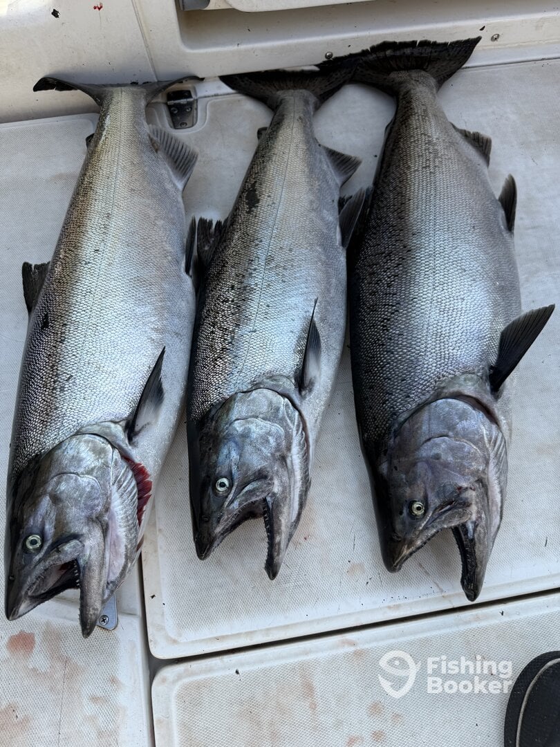 British Columbia Report Photo 0