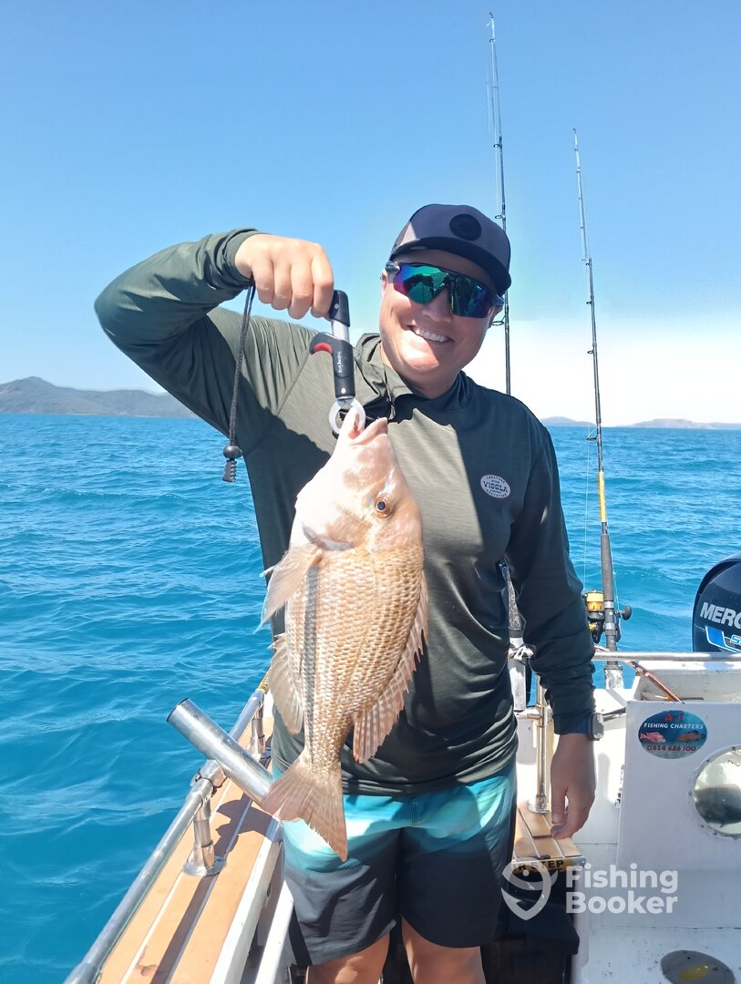 Whitsunday Report Photo 0