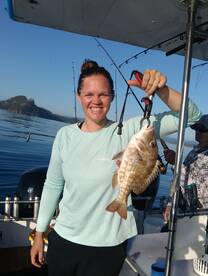 Whitsunday Report Photo 2