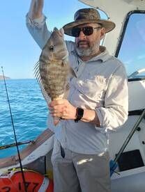 Airlie Beach Report Photo 2