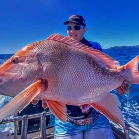 Airlie Beach Report Photo 1