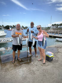 Singer Island Report Photo 2