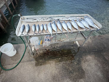 Riviera Beach Report Photo 4