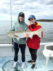 Kittery Report Photo 1