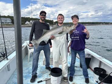 Kittery Report Photo 2