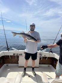 Eastham Report Photo 2
