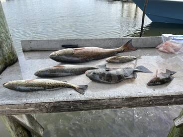 St. Augustine Report Photo 2
