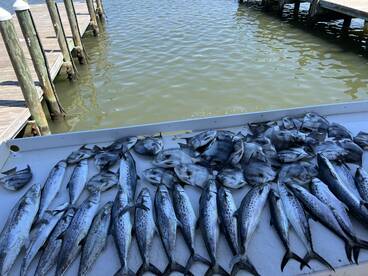 Mobile Bay Report Photo 1