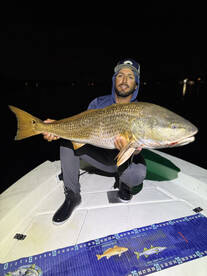 Indian River Report Photo 2