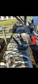 Bottom fish are chewing book your trip t