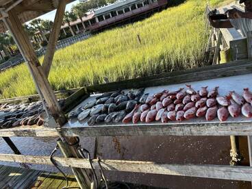 Calabash Report Photo 2