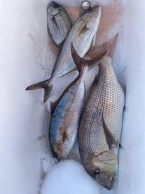 Fishing not catching