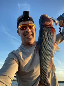 Insane White Perch Bite