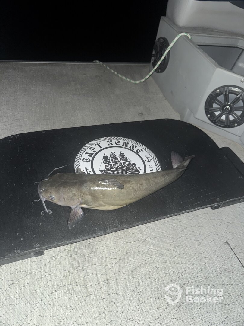 Lake Havasu City Report Photo 0