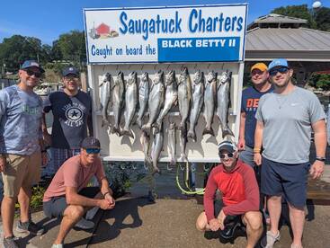 Saugatuck Report Photo 1