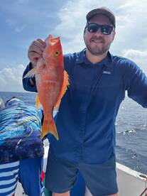 Snappers and a Barracuda