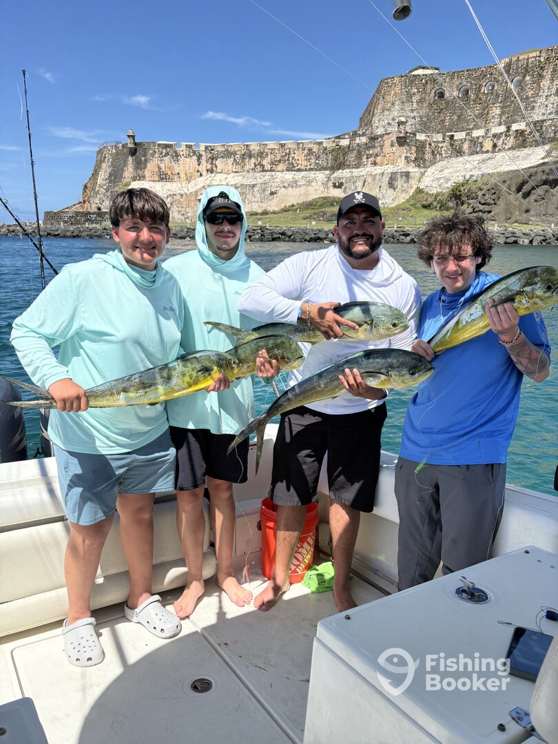 San Juan Report Photo 0
