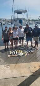 Lower Keys Report Photo 2