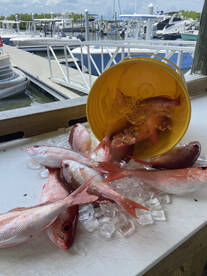 Port Orange Report Photo 2