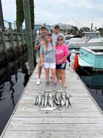 Sharks and mackerels month