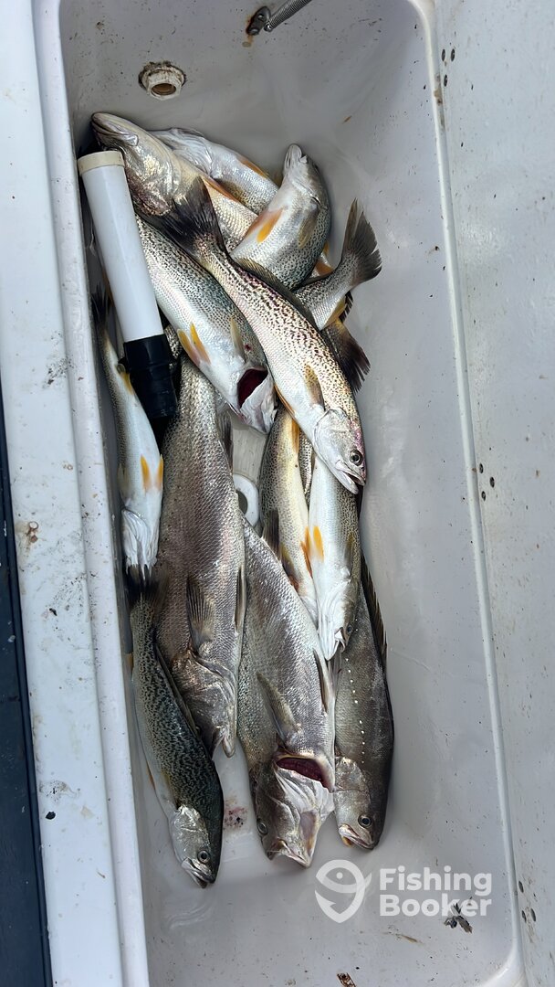 Lisbon Report Photo 0