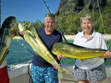 3 good size mahimahi