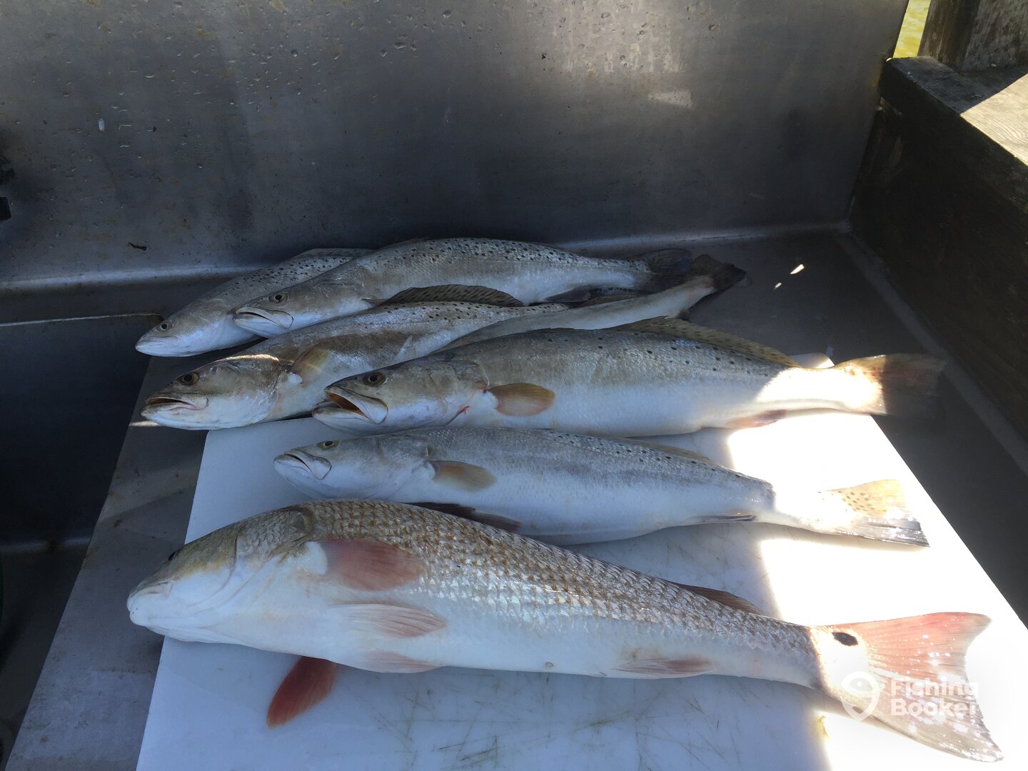 Port Mansfield Report Photo 0