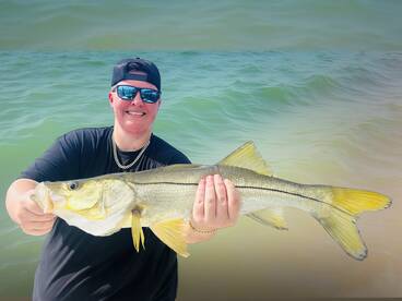 Snook action 