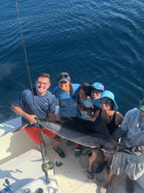 Some of our recent trips