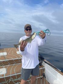 Steinhatchee Report Photo 1
