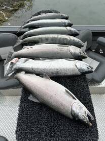 Kenai Report Photo 1