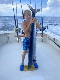 Bermuda Report Photo 1