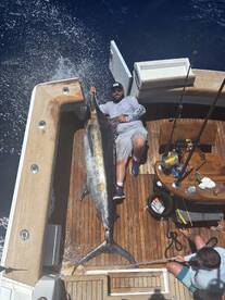 Blue Marlins on The run