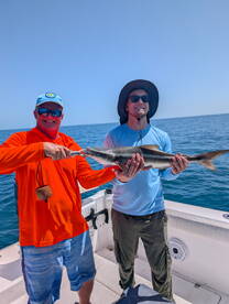 Belleair Bluffs Report Photo 1
