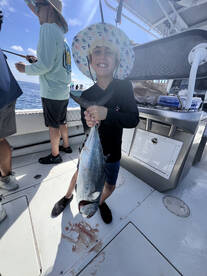 Miami Report Photo 2