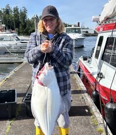 Coal Harbour Report Photo 1