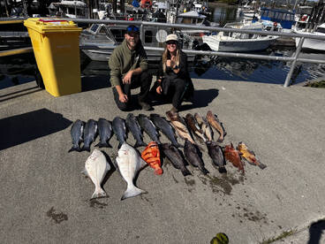 Coal Harbour Report Photo 4