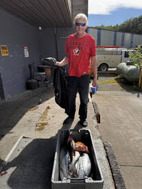 Coal Harbour Report Photo 4