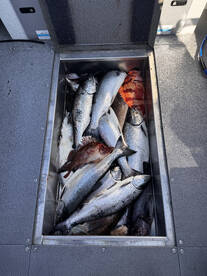 Coal Harbour Report Photo 3