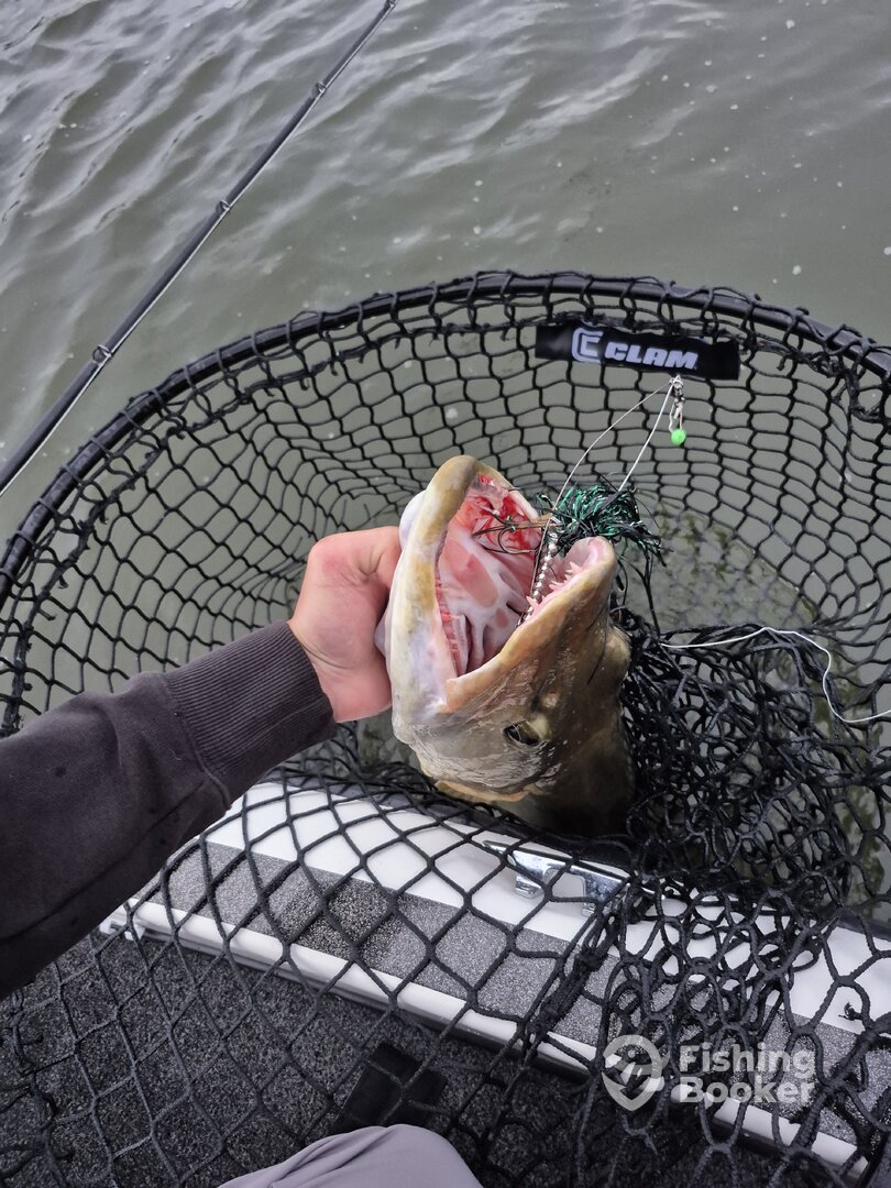 White Bear Lake Report Photo 0