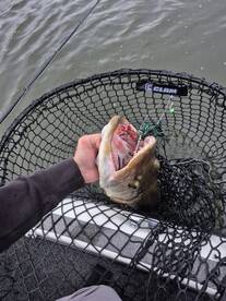 SEPTEMBER IS HERE!!!