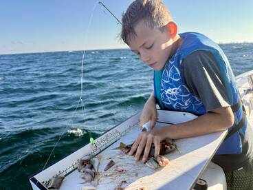 Gulf Breeze Report Photo 3