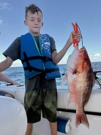 Gulf Breeze Report Photo 2