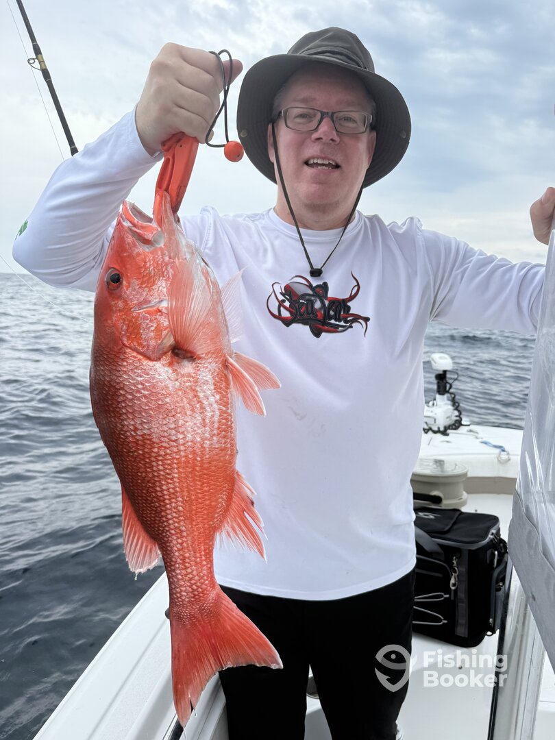 Gulf Breeze Report Photo 0