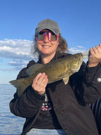 Buffalo Report Photo 2