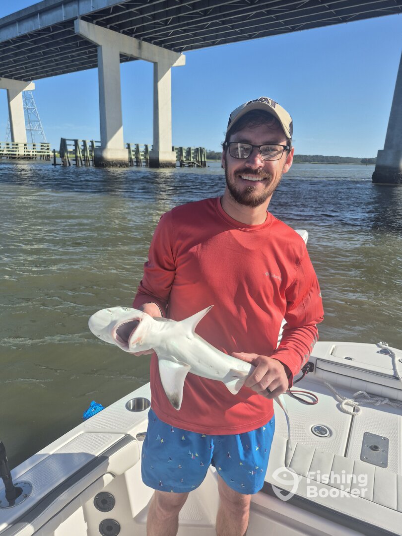 Hilton Head Island Report Photo 0