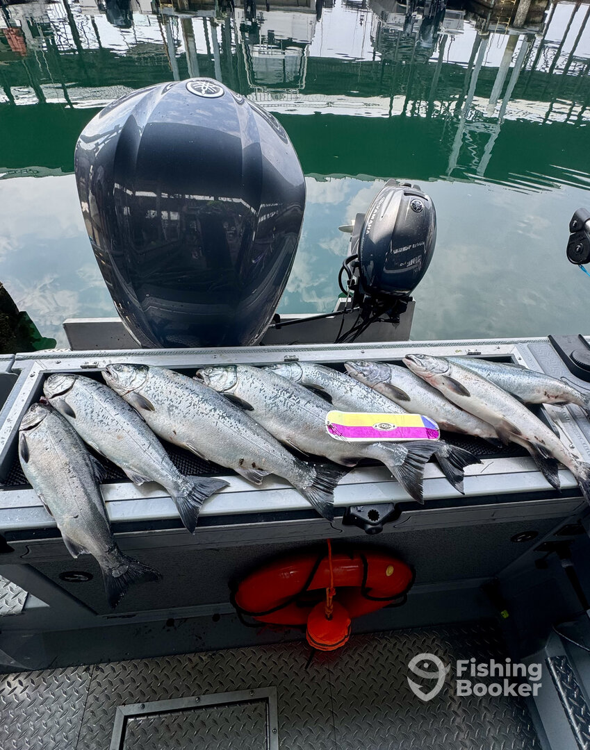 Edmonds Report Photo 0