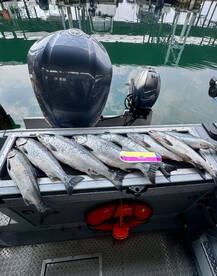 Edmonds Report Photo 2