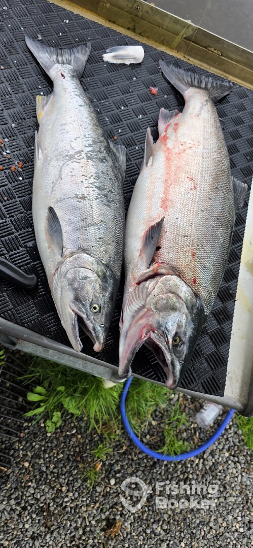 Kenai River Report Photo 0